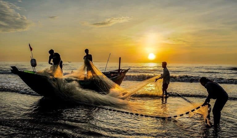 Hình ảnh đánh bắt cá