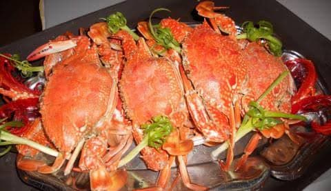 Ghẹ biển chắc nịch