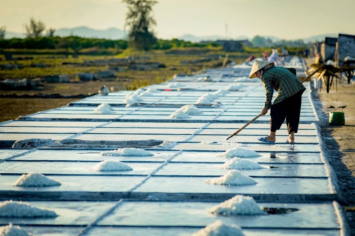 Cánh đồng muối An Hòa – Vẻ đẹp trắng xóa và nghề muối thủ công trăm năm ở Quỳnh Lưu