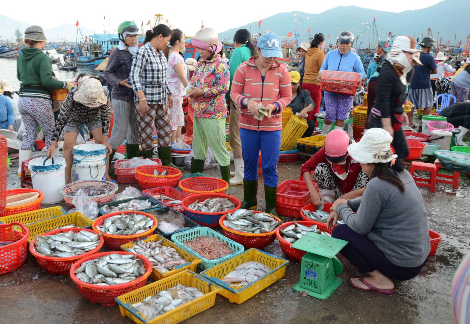 cho-ca-tien-thuy-bien-quynh-buoi-sang-hai-san-tuoi
