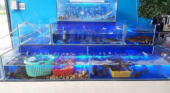 Bể hải sản biển